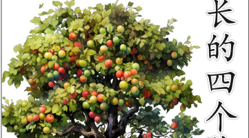 信心成长的四个阶段